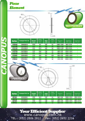 CPE3551 Datasheet PDF Canopus Electronics (H.K.) Ltd.