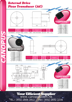 CPT1306C Datasheet PDF Canopus Electronics (H.K.) Ltd.