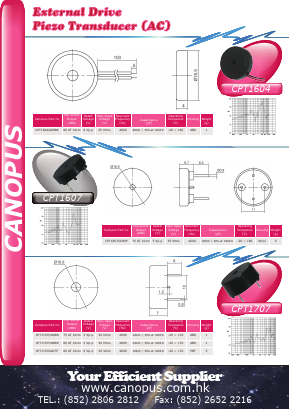 CPT1607 Datasheet PDF Canopus Electronics (H.K.) Ltd.