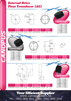 CPT2007 Datasheet PDF Canopus Electronics (H.K.) Ltd.