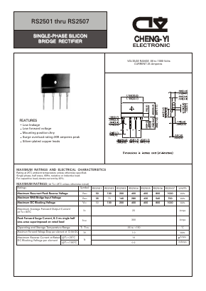 RS2501 Datasheet PDF CHENG-YI ELECTRONIC CO., LTD.