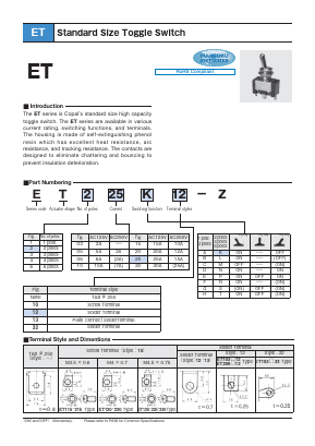 ET225K10-Z Datasheet PDF Copal Electronics