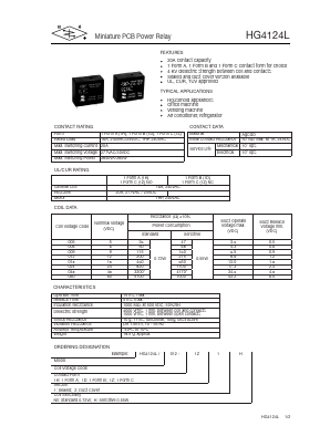 HG4124L/009-1D2 Datasheet PDF DB Lectro Inc