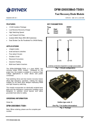 DFM1200XXM45-TS001 Datasheet PDF Dynex Semiconductor