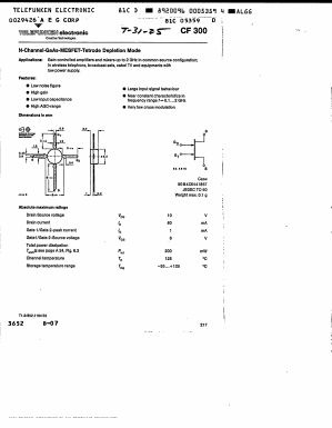 CF300 Datasheet PDF ETC