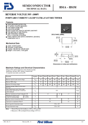 HS1B Datasheet PDF First Silicon Co., Ltd