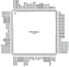 MC9S12B128 Datasheet PDF Freescale Semiconductor
