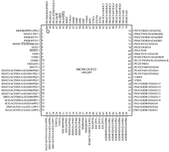 MC9S12UF32 Datasheet PDF Freescale Semiconductor
