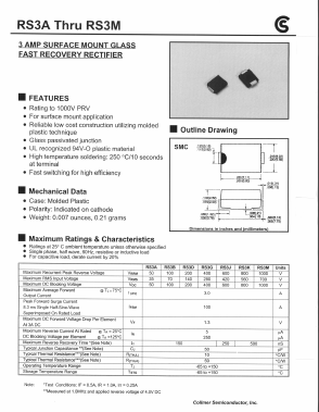 RS3A Datasheet PDF Fuji Electric