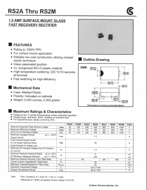 RS2A Datasheet PDF Fuji Electric