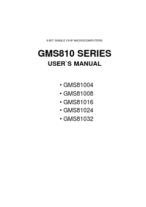 GMS810 Datasheet PDF Hynix Semiconductor