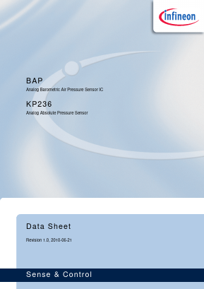 SP000700780 Datasheet PDF Infineon Technologies