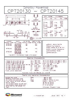 CPT20130 Datasheet PDF Microsemi Corporation