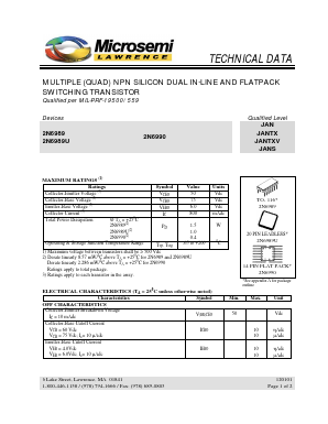 2N6989 Datasheet PDF Microsemi Corporation