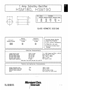 HSM190 Datasheet PDF Microsemi Corporation