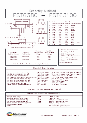 FST63100D Datasheet PDF Microsemi Corporation