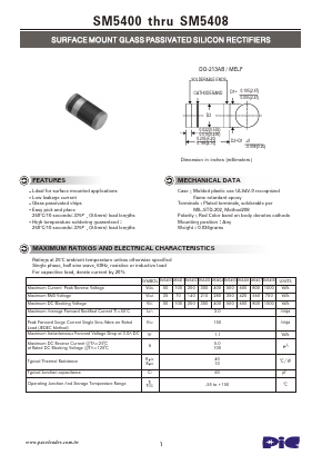 SM5407 Datasheet PDF PACELEADER INDUSTRIAL