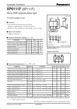 XP0111F Datasheet PDF Panasonic Corporation