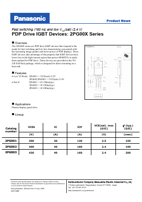 2PG002_ Datasheet PDF Panasonic Corporation