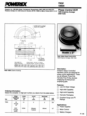 T9G0101003DH Datasheet PDF Powerex