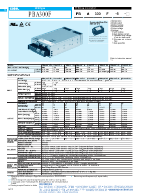PBA300F-3R3 Datasheet PDF RSG Electronic Components GmbH
