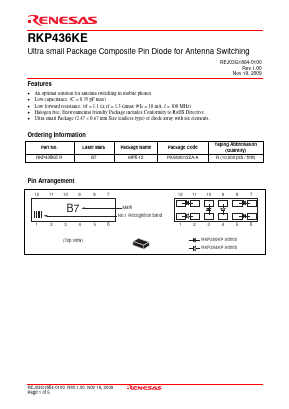 RKP436KE Datasheet PDF Renesas Electronics