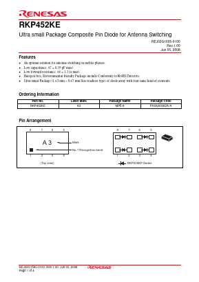RKP452KE Datasheet PDF Renesas Electronics