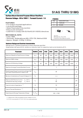S1AG Datasheet PDF SHIKE Electronics