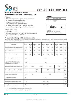 SS12G Datasheet PDF SHIKE Electronics