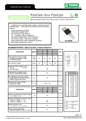 F20C20 Datasheet PDF Thinki Semiconductor Co., Ltd.